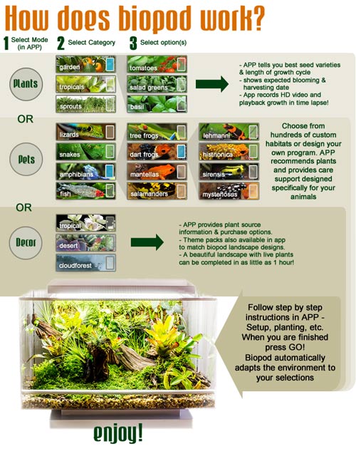 Trồng cả rừng rau tại nhà dễ dàng bằng điện thoại di động - 4