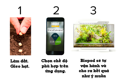 Trồng cả rừng rau tại nhà dễ dàng bằng điện thoại di động - 3