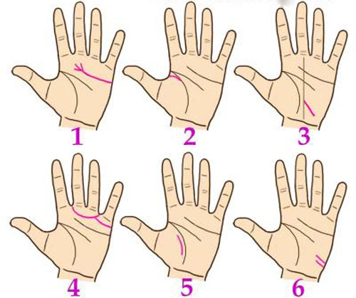 Những đường chỉ tay cực may mắn - 1