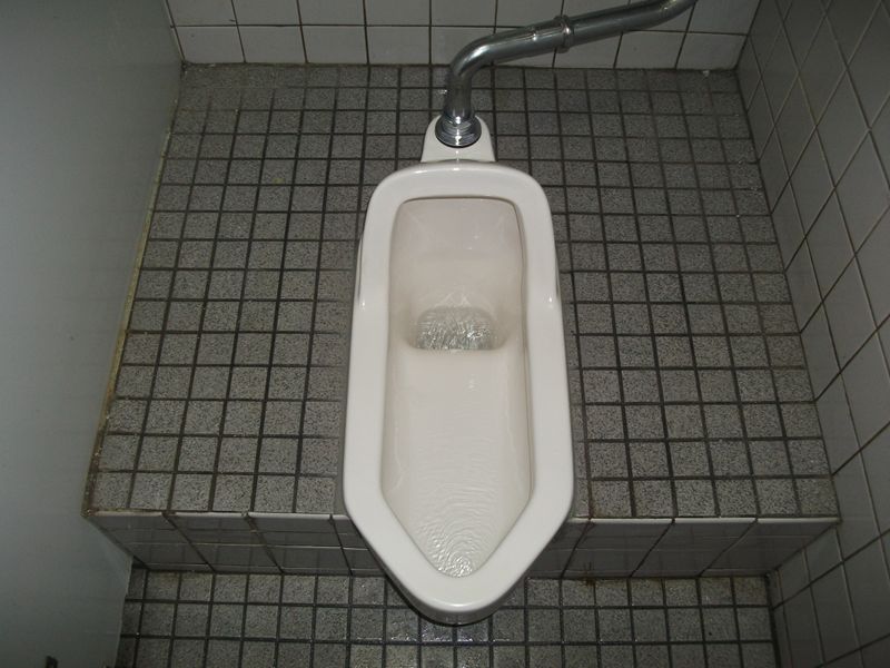 Mẹ Việt kể chuyện bồn cầu hiện đại mà...hại điện ở Nhật - 2