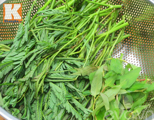 Giòn ngon nộm rau rút ức gà - 3