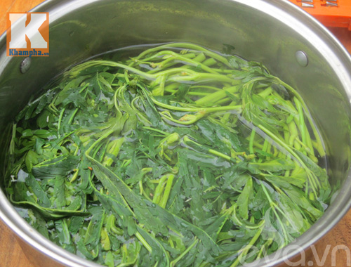 Giòn ngon nộm rau rút ức gà - 7