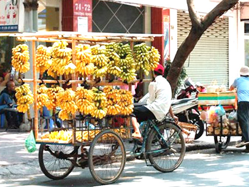 Kinh hoàng ‘tẩm’ thuốc độc cho chuối - 1
