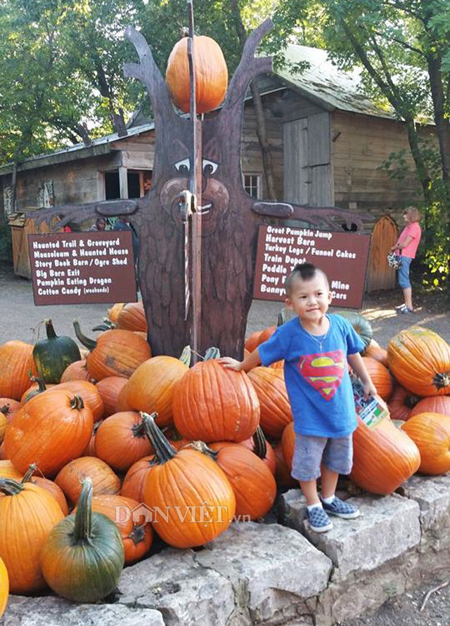 Người Việt trong Hội thi bí ngô dịp Halloween tại Mỹ - 1