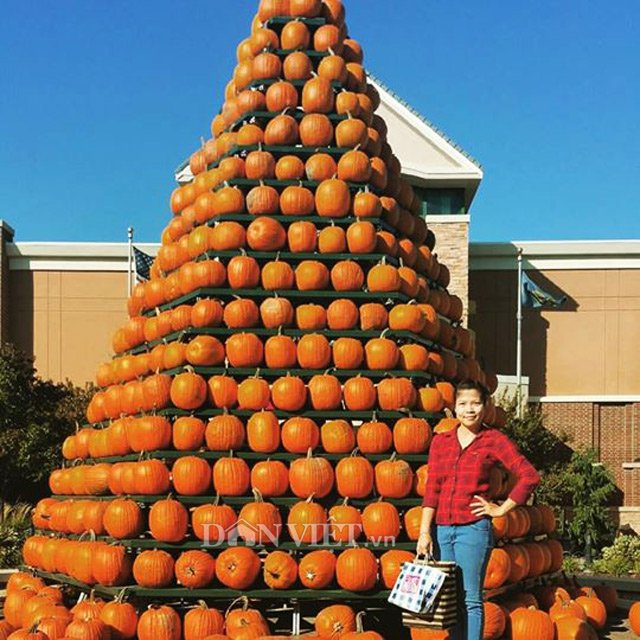 Người Việt trong Hội thi bí ngô dịp Halloween tại Mỹ - 3