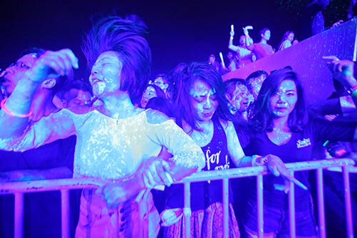 Khán giả Hà Nội cuồng nhiệt với The Wave Music Festival - 2