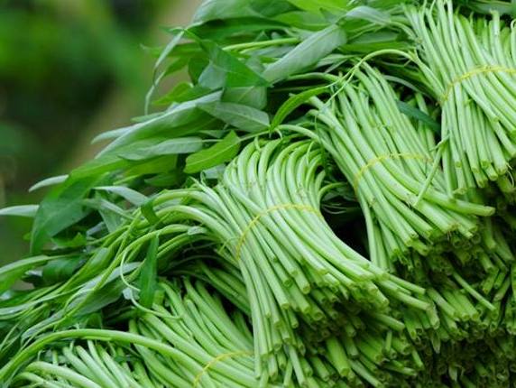 Cách ăn rau muống đúng để giảm độc tố - 1