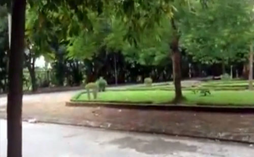 Hà Nội: Bé trai 3 tuổi bị bắt cóc ngay trước cửa nhà - 1