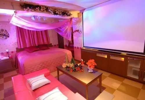 Những căn phòng gây sốc ở các khách sạn tình yêu Nhật Bản - 8
