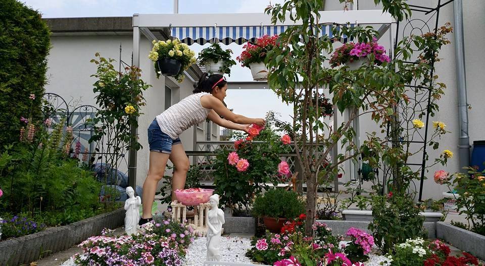 Chị em quot;phát ghenquot; công viên hoa của mẹ Việt nơi trời Tây - 8