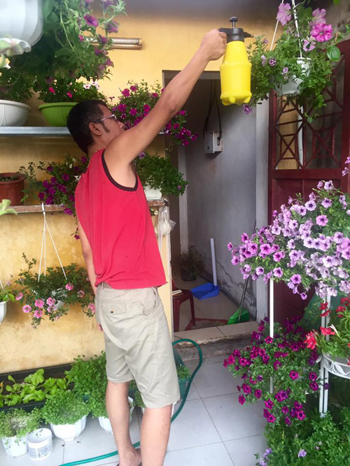 Mê tít khu vườn trên cao của cô giáo làng - 3