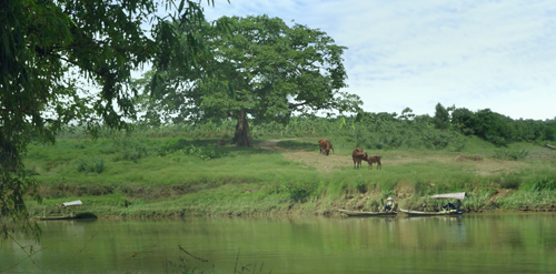 Dữ dội, sâu lắng chính là quot;Cuộc đời của Yếnquot; - 2