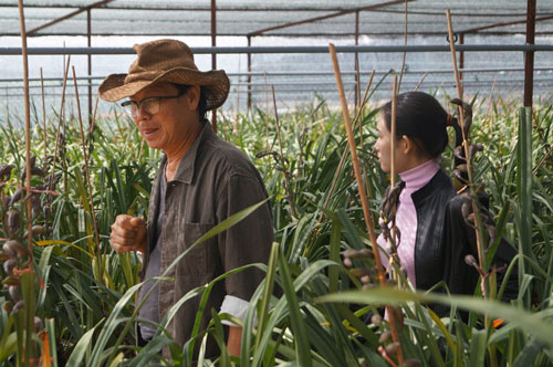 Văn Phượng, Cao Minh về Đà Lạt trồng hoa - 8