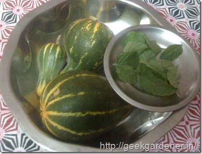 Câu chuyện nghỉ việc trồng rau của chàng kĩ sư phần mềm - 6