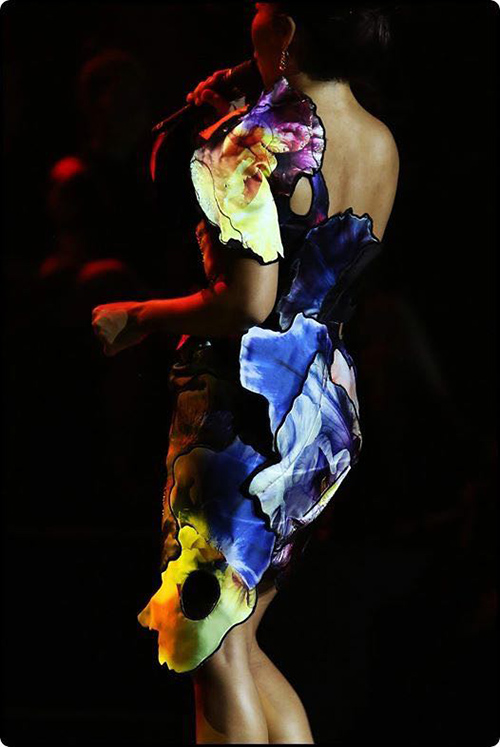 Soi váy 3D quot;có một không haiquot; của Hà Trần - 4