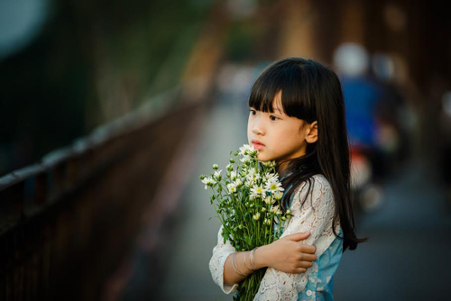 Bé gái Hà Nội đẹp mong manh trong mùa cúc họa mi - 13