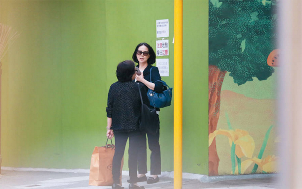 Trương Hinh Dư bị tố quot;mỉa maiquot; Phạm Băng Băng - 7