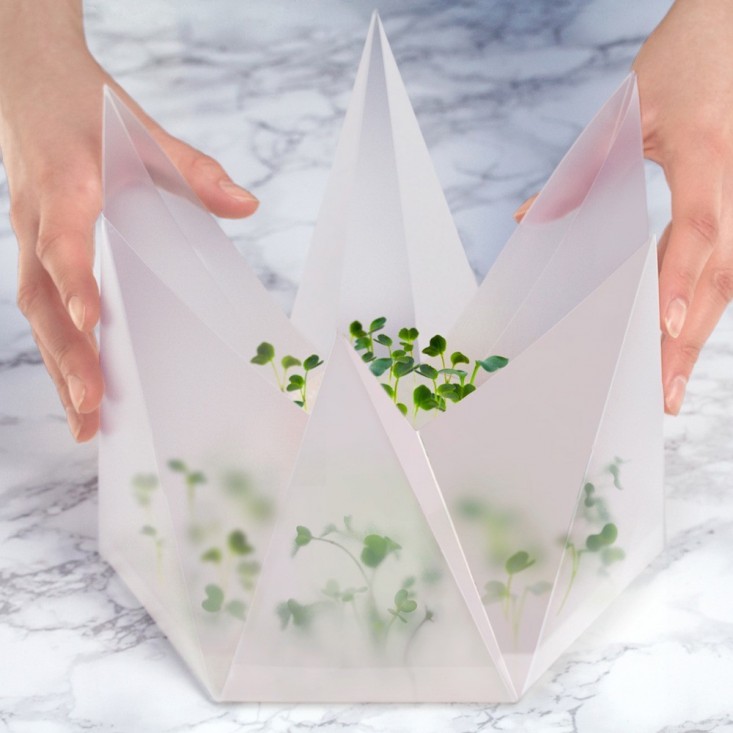 Hộp nhựa trồng rau mầm 2 tuần, không cần tưới - 1