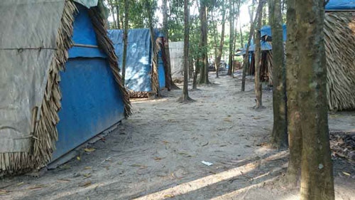 Nhức nhối cà phê “đen” - 1