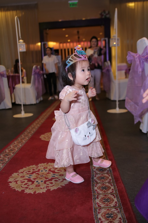 Mr Đàm, Minh Tâm Bùi dự sinh nhật con gái Gia Bảo - 18