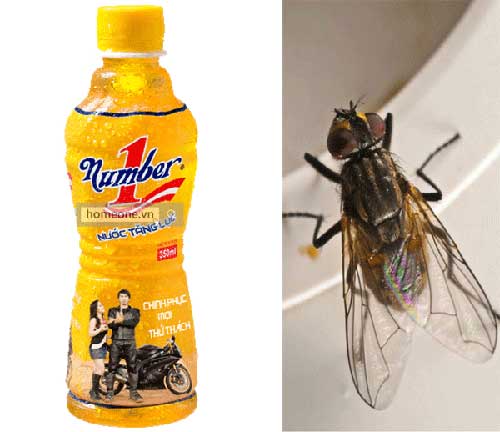 Một con ruồi khiến Tân Hiệp Phát mất hơn 2.000 tỉ đồng - 1