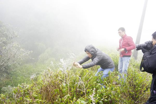 Du khách ùn ùn kéo lên ngắm băng tuyết ở Sa Pa - 4
