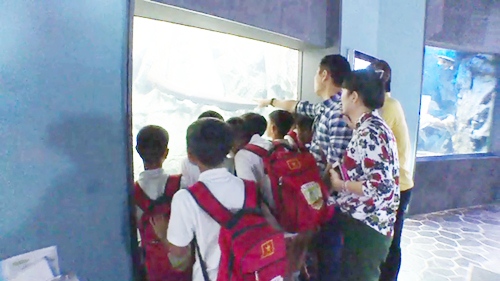 Thanh Thảo Hugo dỗ dành cầu thủ nhí như con đẻ - 18