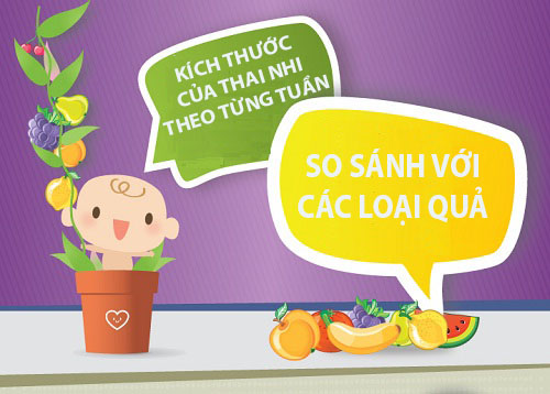 Mô tả cực thú vị về kích thước thai nhi trong bụng mẹ - 1