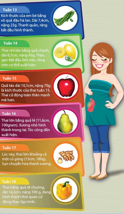 Mô tả cực thú vị về kích thước thai nhi trong bụng mẹ - 4