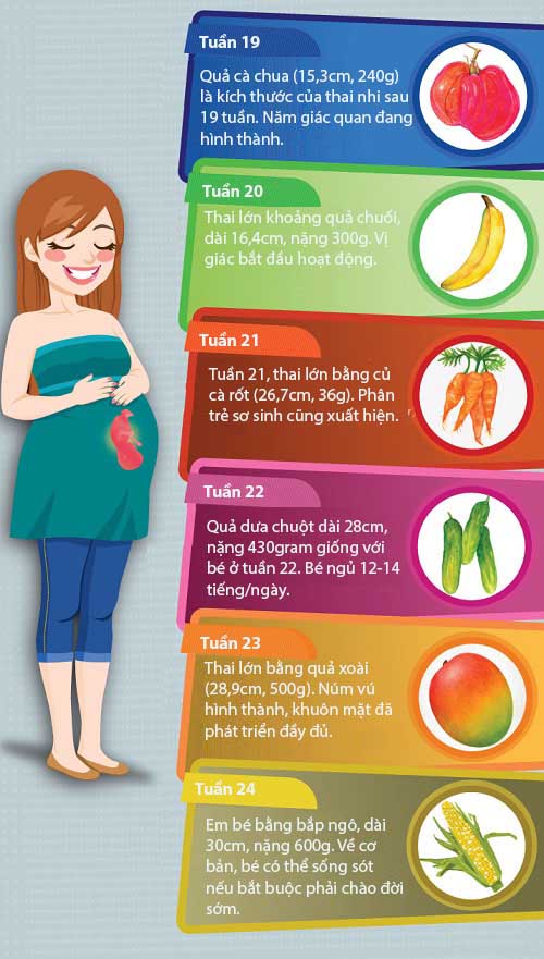 Mô tả cực thú vị về kích thước thai nhi trong bụng mẹ - 5