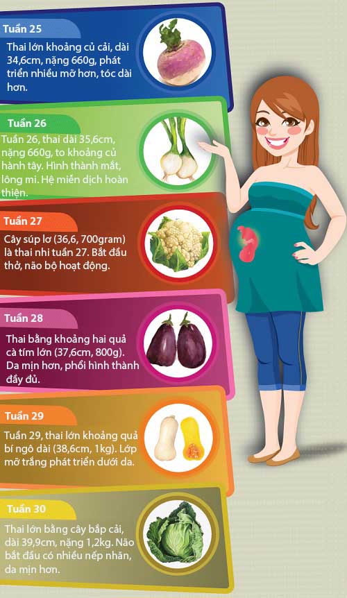 Mô tả cực thú vị về kích thước thai nhi trong bụng mẹ - 6