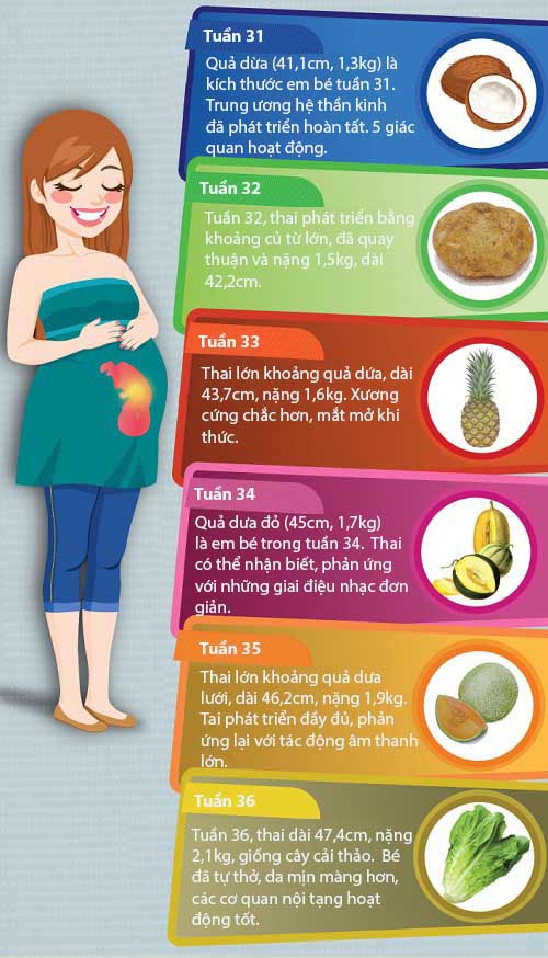 Mô tả cực thú vị về kích thước thai nhi trong bụng mẹ - 7