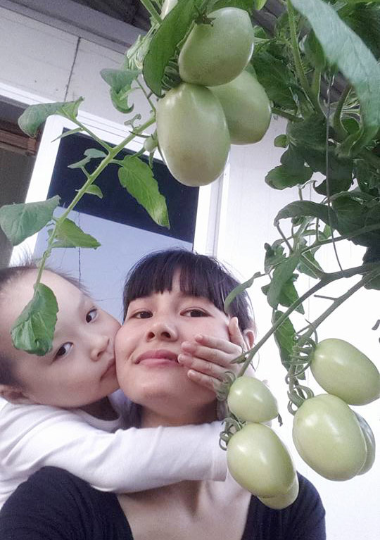 Học mẹ trẻ Hà Nội luyện bí kíp trồng cà chua trĩu cây - 1
