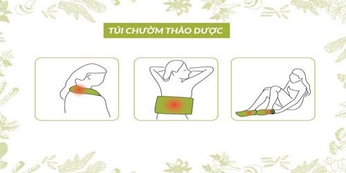 Giảm đau lưng, vai gáy hiệu quả từ thảo dược - 3