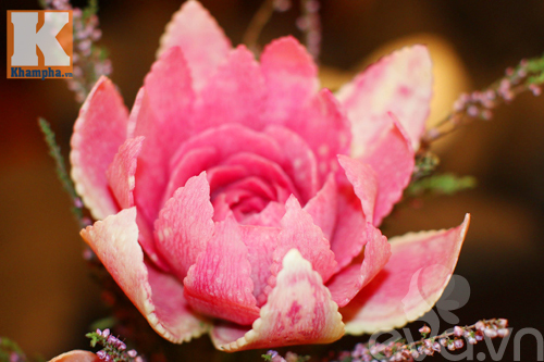 Tỉa hoa từ củ cải đỏ siêu đẹp trang trí bàn ăn - 15