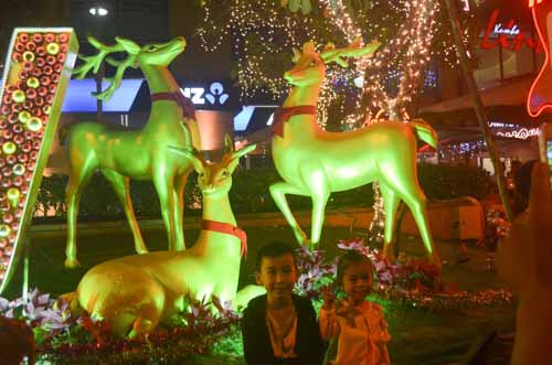 Hàng ngàn người đến phố đi bộ Nguyễn Huệ đón Noel - 2