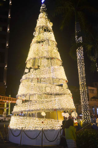 Hàng ngàn người đến phố đi bộ Nguyễn Huệ đón Noel - 5