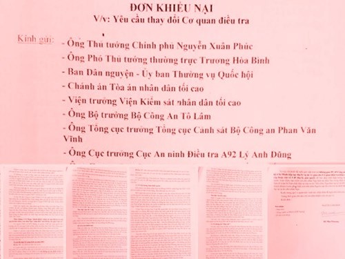 Mẹ HH Phương Nga kiến nghị thay đổi cơ quan điều tra - 2