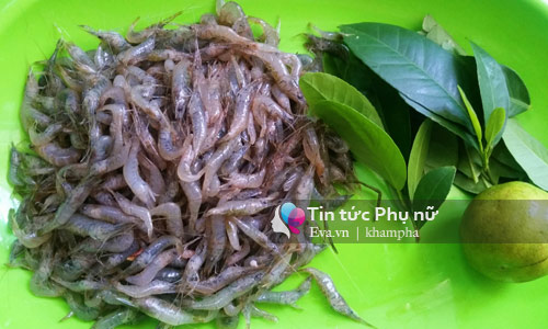 Tép rang lá chanh cho ngày mát trời - 1