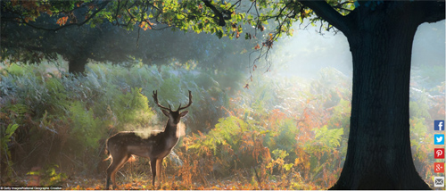 Ngất ngây với những hình ảnh tuyệt đẹp về mùa thu trên khắp thế giới - 1