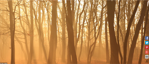 Ngất ngây với những hình ảnh tuyệt đẹp về mùa thu trên khắp thế giới - 10