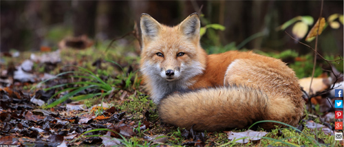 Ngất ngây với những hình ảnh tuyệt đẹp về mùa thu trên khắp thế giới - 11