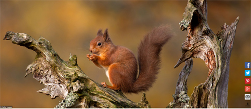 Ngất ngây với những hình ảnh tuyệt đẹp về mùa thu trên khắp thế giới - 12