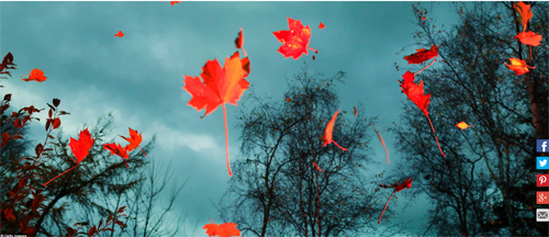 Ngất ngây với những hình ảnh tuyệt đẹp về mùa thu trên khắp thế giới - 14