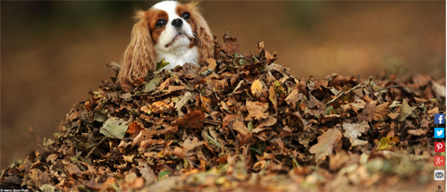 Ngất ngây với những hình ảnh tuyệt đẹp về mùa thu trên khắp thế giới - 16