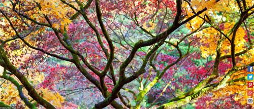 Ngất ngây với những hình ảnh tuyệt đẹp về mùa thu trên khắp thế giới - 2