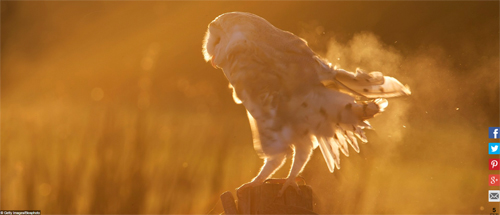 Ngất ngây với những hình ảnh tuyệt đẹp về mùa thu trên khắp thế giới - 4