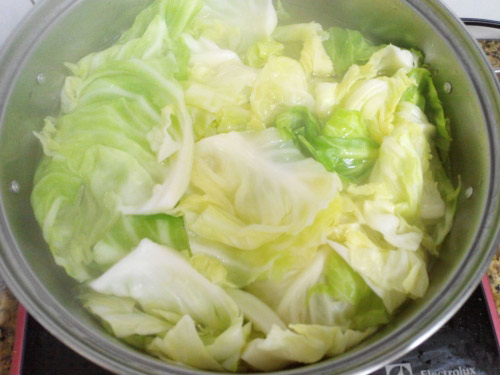5 người dù muốn ăn bắp cải cũng phải nói không - 2