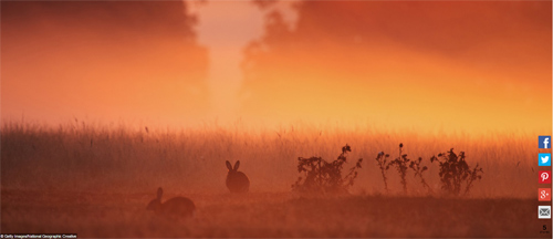 Ngất ngây với những hình ảnh tuyệt đẹp về mùa thu trên khắp thế giới - 7