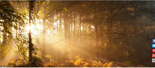 Ngất ngây với những hình ảnh tuyệt đẹp về mùa thu trên khắp thế giới - 8